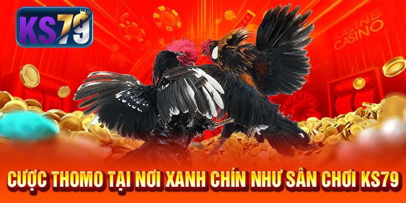 Cược Thomo tại nơi xanh chín như sân chơi KS79