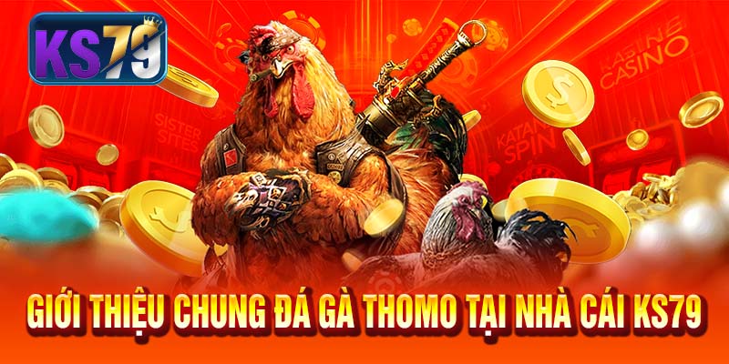 Giới thiệu chung đá gà Thomo tại nhà cái KS79