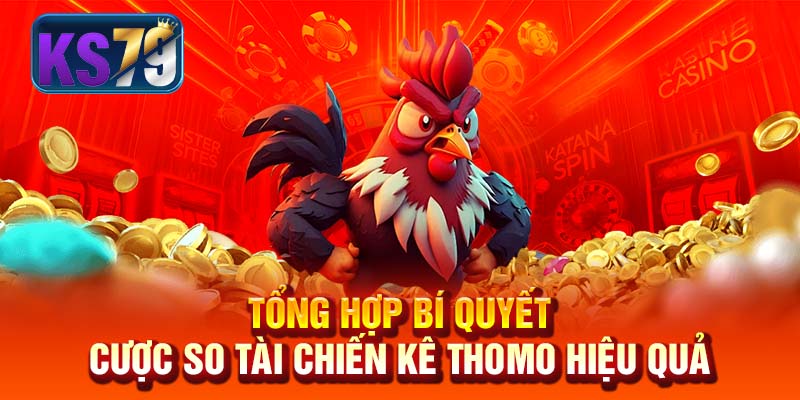 Tổng hợp bí quyết cược so tài chiến kê Thomo hiệu quả